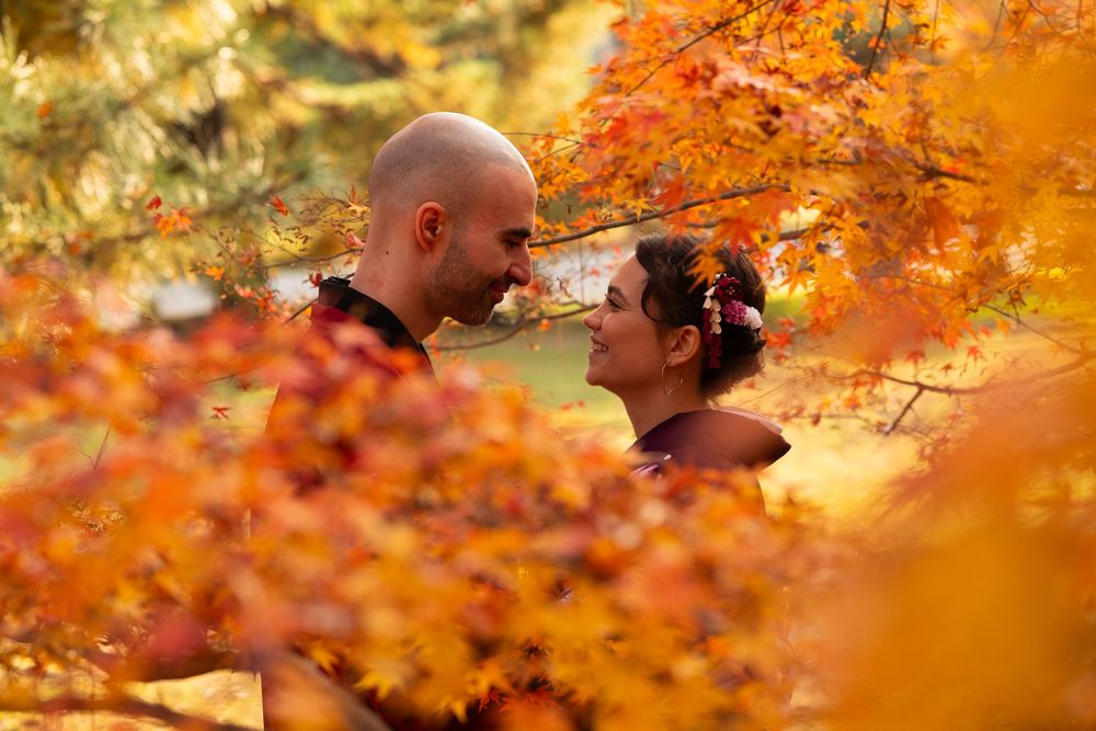 Couple in traditional Japanese kimono gazing at each other framed by brilliant orange autumn foliage.