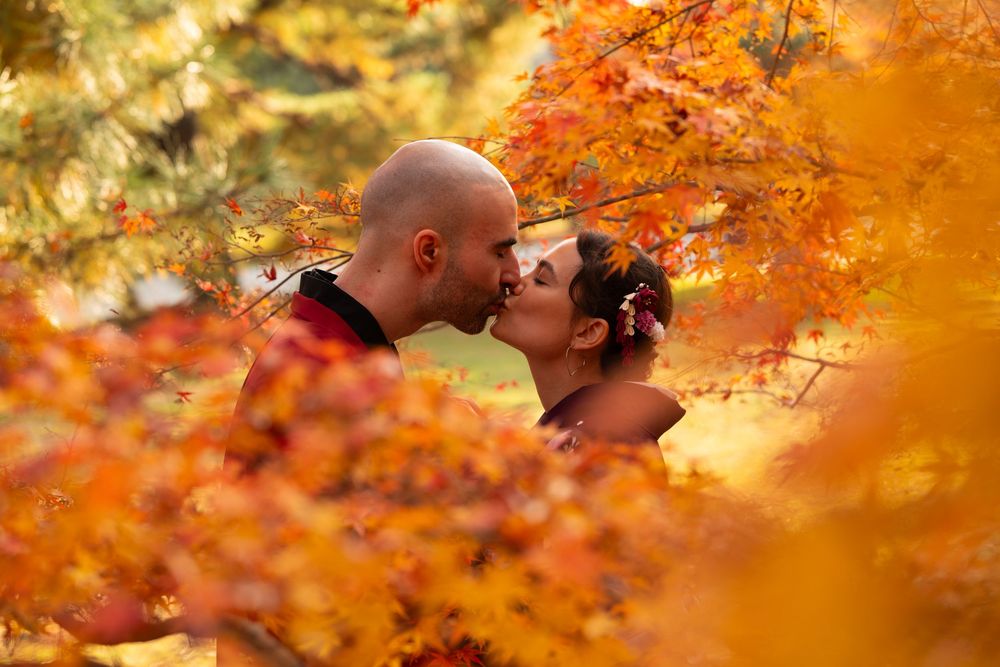 Couple sharing a romantic kiss surrounded by vibrant orange and red autumn maple leaves in a Japanese garden.