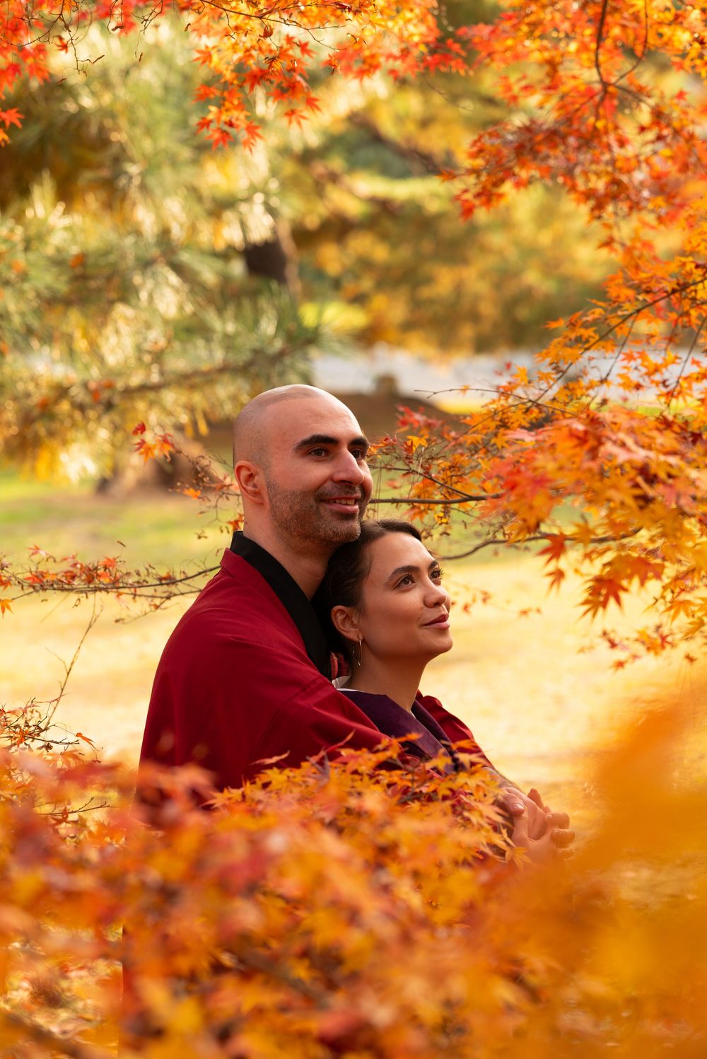 Couple in traditional Japanese kimono embracing and gazing upward amid stunning fall foliage in a serene park.