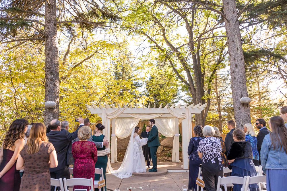 Wedding ceremony taking place outdoors under tall pine trees with guests gathered on a sunny autumn day.