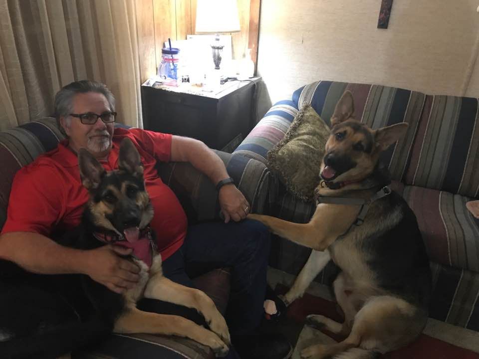 A German Shepherd dog relaxes on a couch with someone in a red shirt across multiple similar photos.