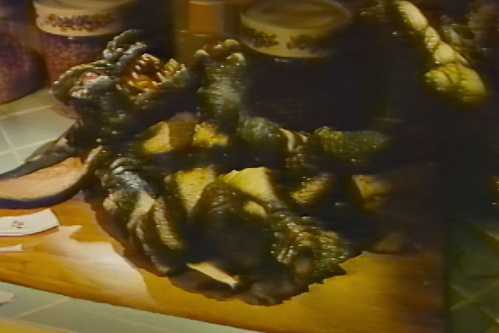 Stabbed Gremlin puppet