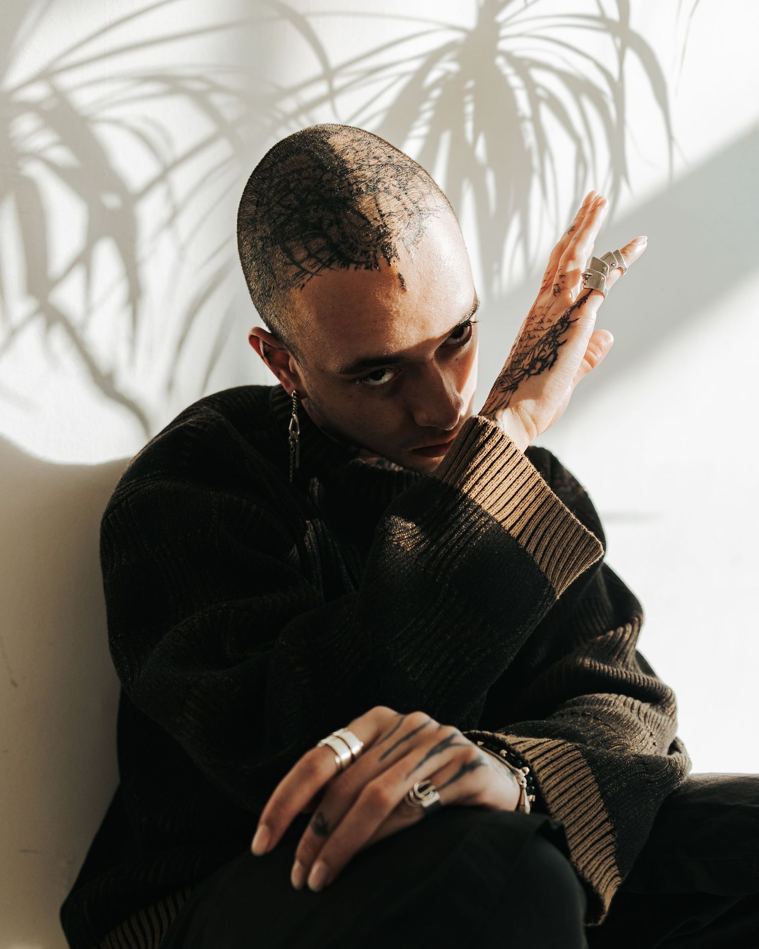 Artistic portrait showing dramatic shadows from palm leaves on a wall in moody lighting.