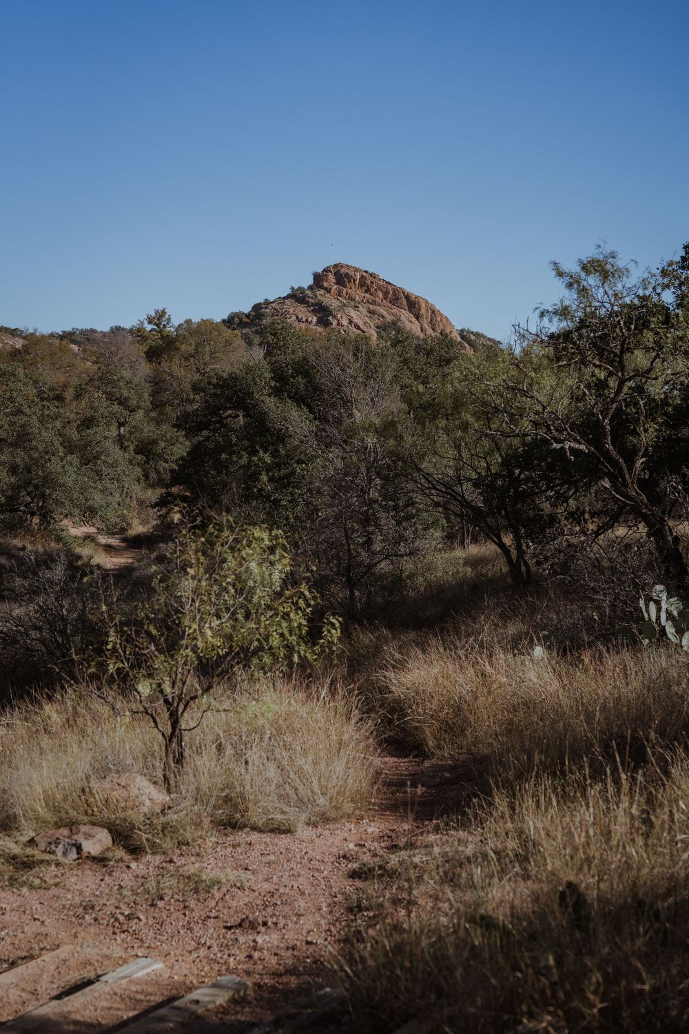 Desert landscape with rocky outcrops and sparse vegetation against clear blue sky in rugged wilderness terrain.