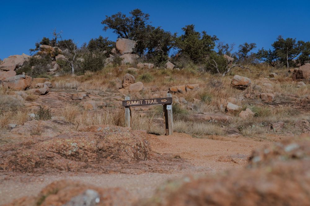 Panoramic view of arid desert landscape with scattered trees and rocky terrain under bright blue sky.