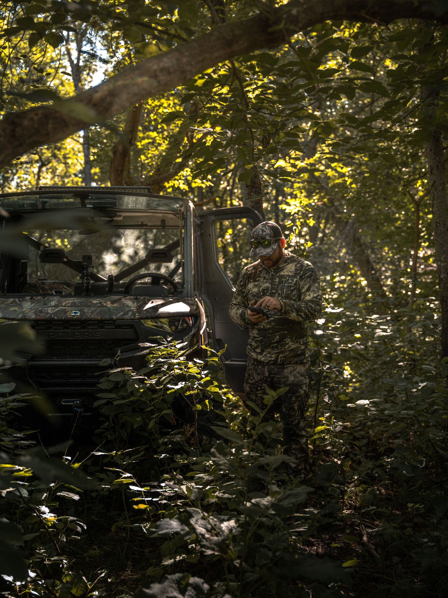 Camera equipment and gear positioned in a sunlit forest setting.