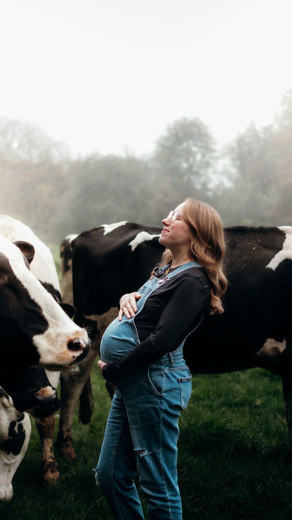 Séance photo de grossesse matinale en extérieur, capturée dans une brume douce avec des vaches en arrière-plan, créant une atmosphère calme