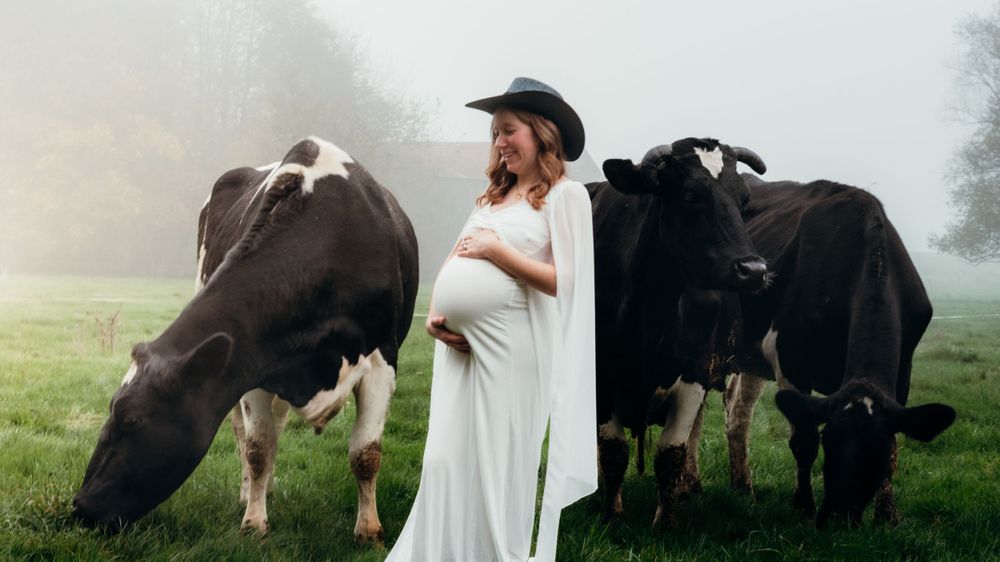 Séance photo de grossesse matinale en extérieur, capturée dans une brume douce avec des vaches en arrière-plan, créant une atmosphère calme