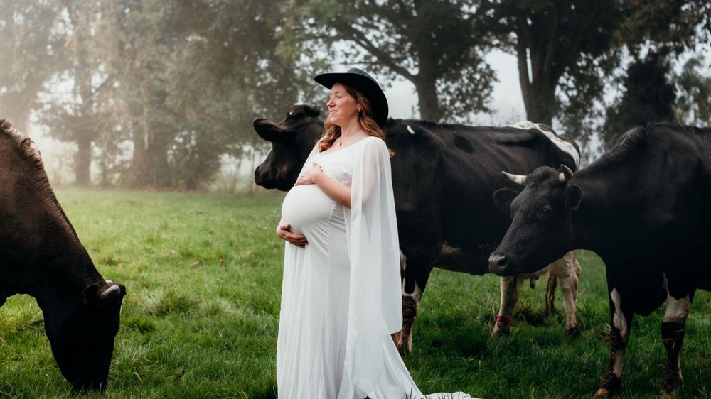 Séance photo de grossesse matinale en extérieur, capturée dans une brume douce avec des vaches en arrière-plan, créant une atmosphère calme