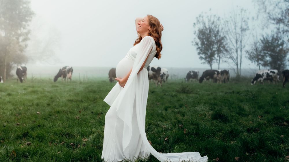 Séance photo de grossesse matinale en extérieur, capturée dans une brume douce avec des vaches en arrière-plan, créant une atmosphère calme