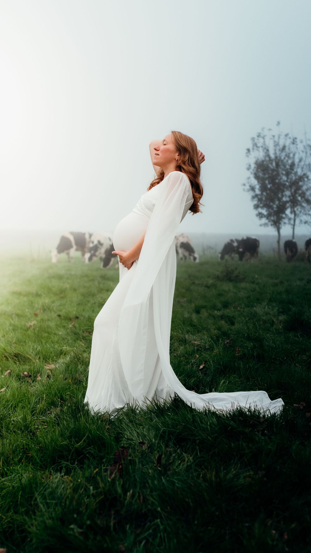 Séance photo de grossesse matinale en extérieur, capturée dans une brume douce avec des vaches en arrière-plan, créant une atmosphère calme