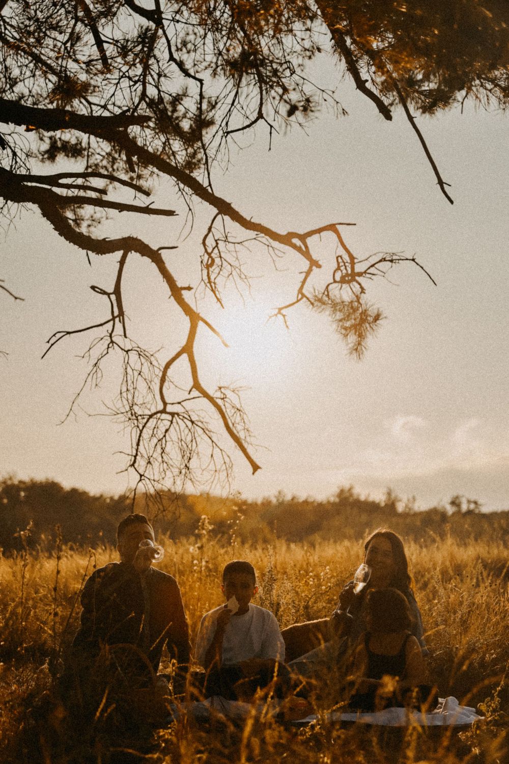 Silhouettes sit in a golden field at sunset beneath overhanging tree branches creating a dreamy autumn atmosphere.