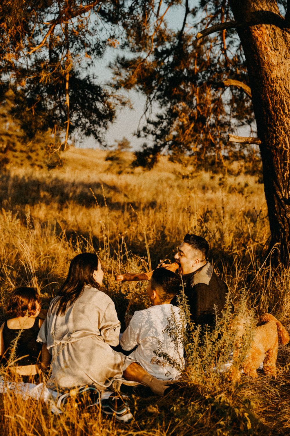 People enjoying an evening picnic under a pine tree in golden sunlight with tall grass and autumn colors.