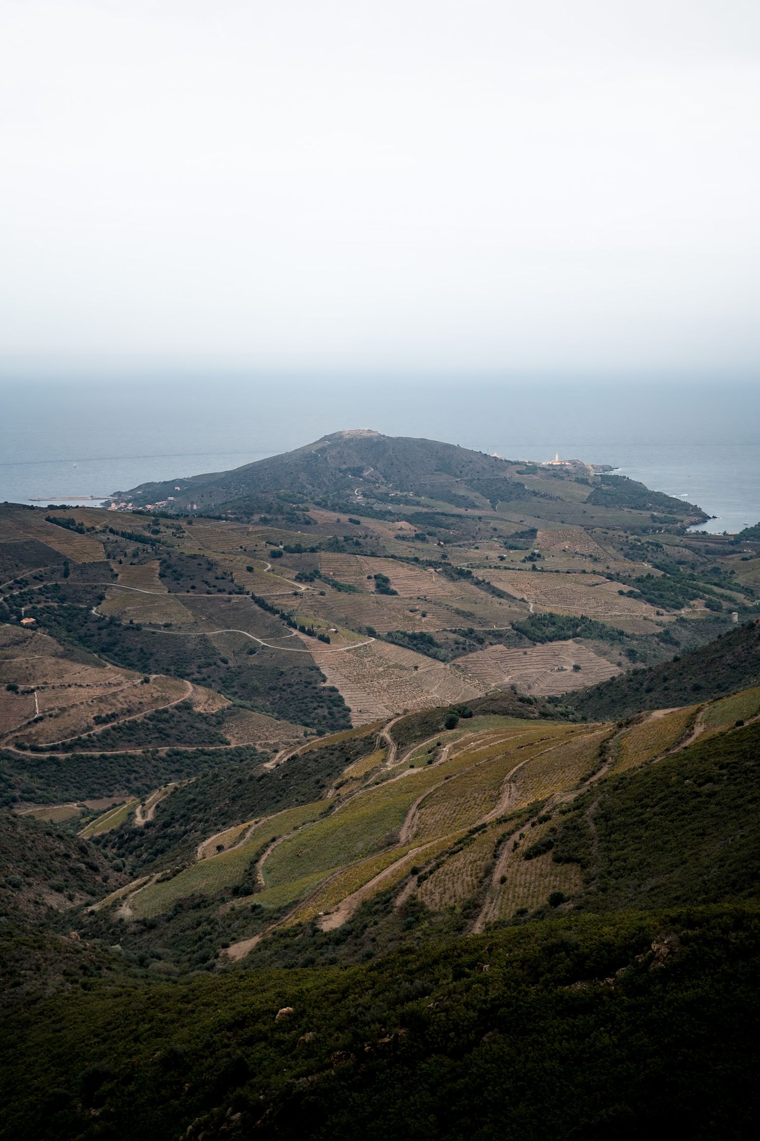 vignes au dessus de collioure depuis la tour de la madeloc