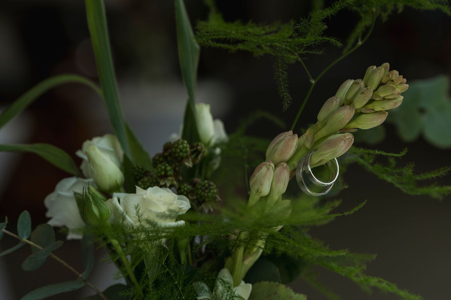 Makroaufnahme von Hochzeitsring und Knospen mit grünem Laub in sanfter Unschärfe vor dunklem Hintergrund – natürliche Eleganz in detailreich