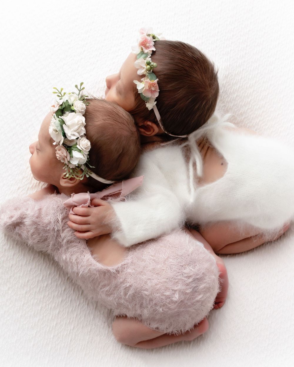 twin newborn session