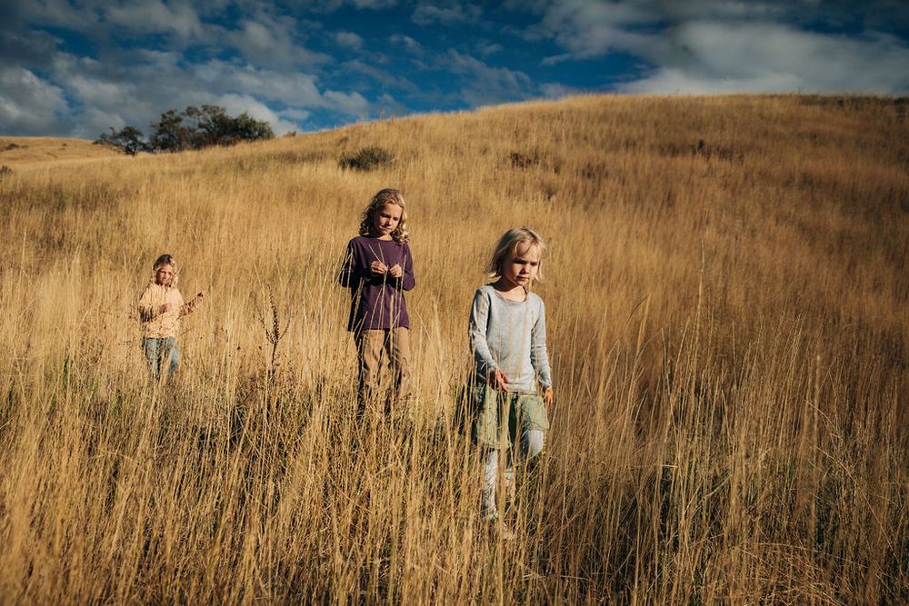 People walking through a golden autumn field with tall dry grass against a dramatic blue sky with clouds.