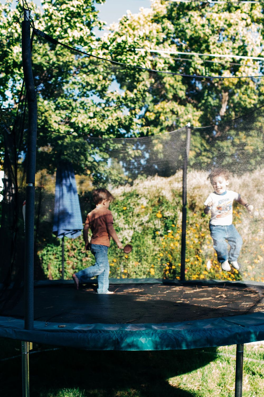 A sequence of people jumping on a backyard trampoline in a sunny outdoor setting surrounded by trees and greenery.