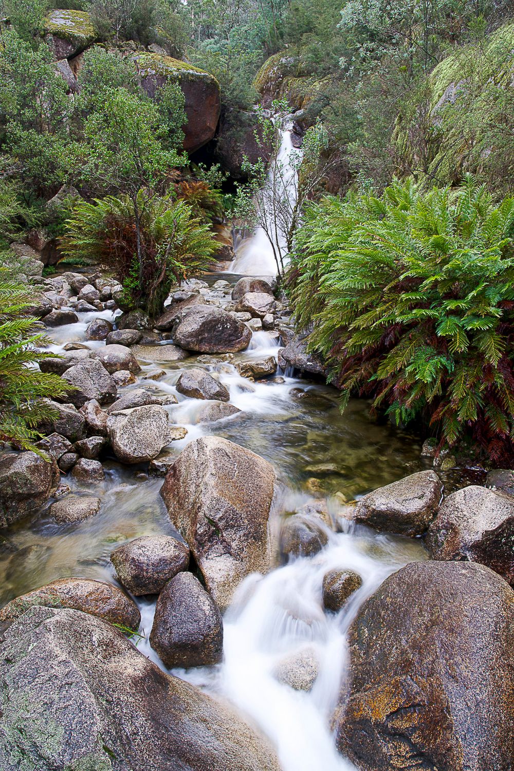 Ladies Bath Falls Mount Buffalo