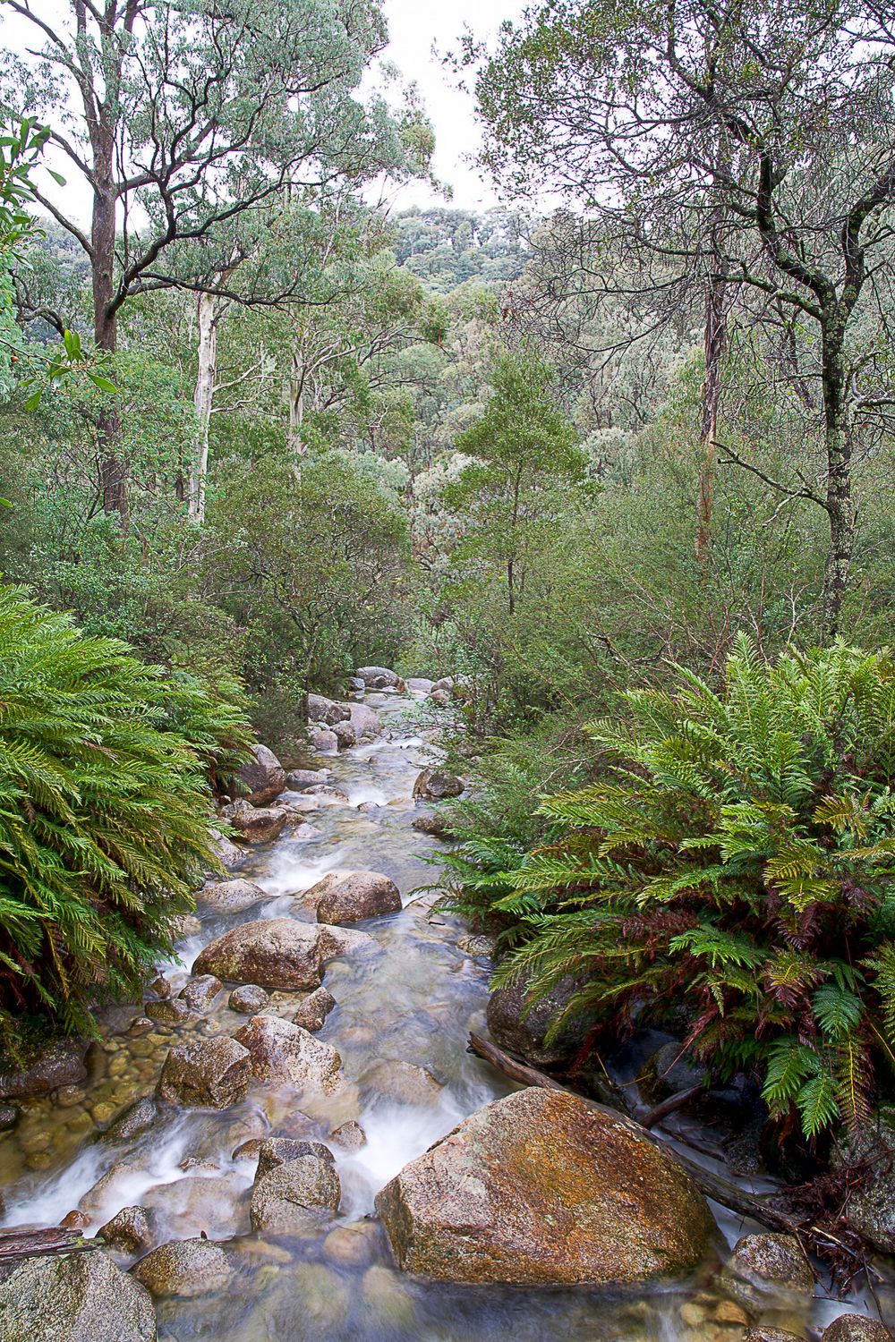 Ladies Bath Falls Mount Buffalo