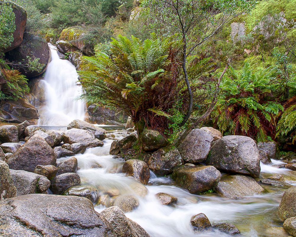 Ladies Bath Falls Mount Buffalo