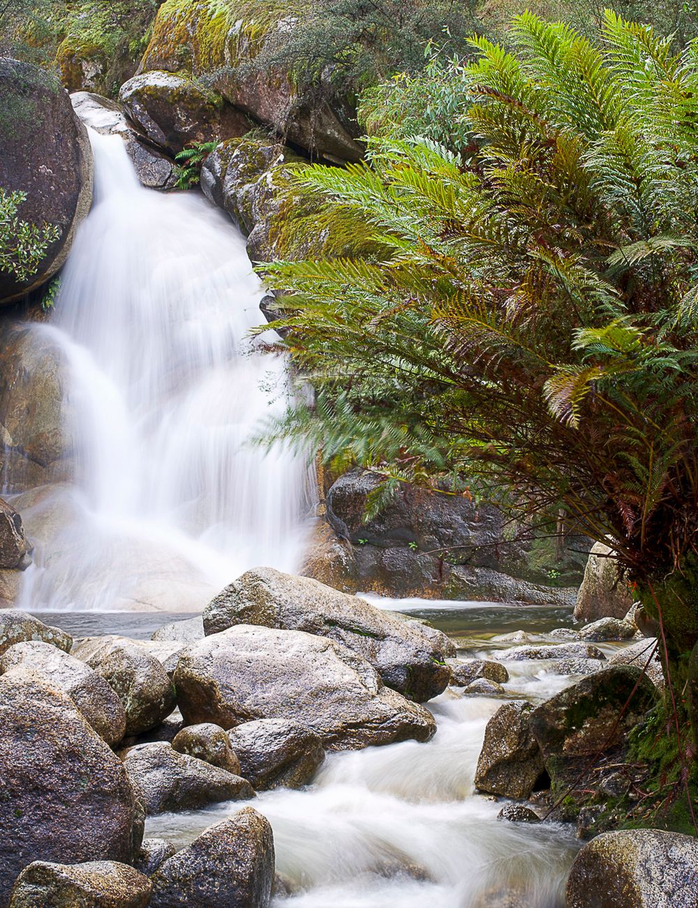 Ladies Bath Falls Mount Buffalo