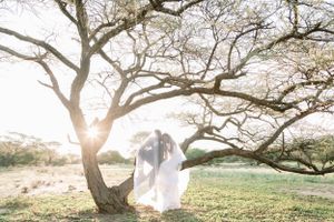 Romantic couple standing under a sprawling tree with a flowing veil at golden sunset in a meadow.