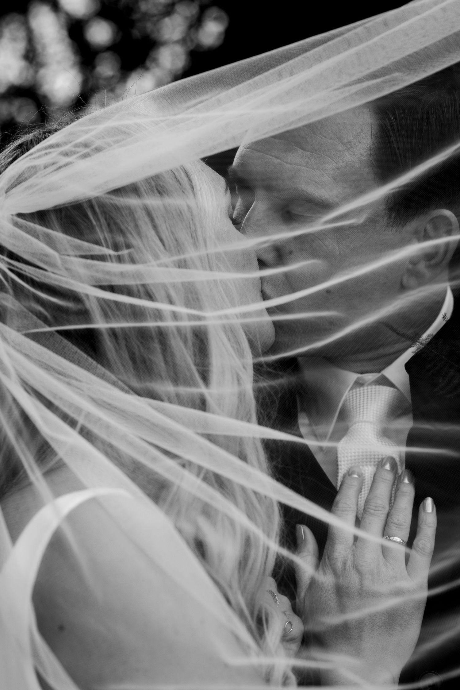 A romantic black and white wedding photo showing couple embracing under flowing veil in soft natural light.