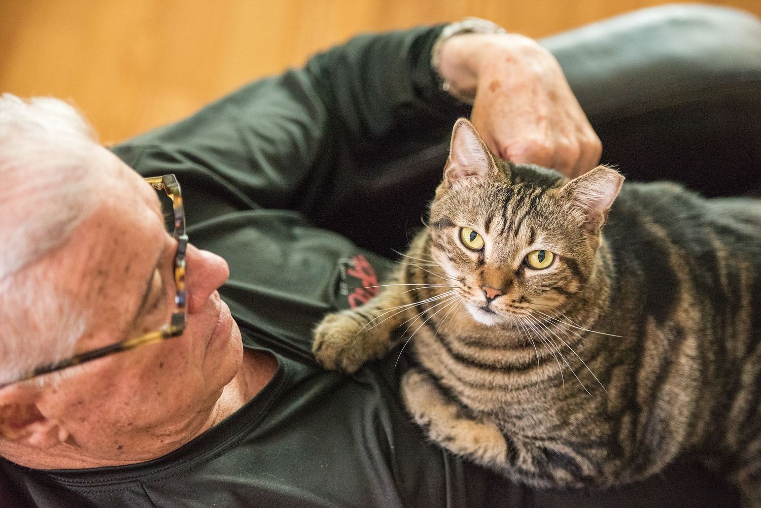 relaxed pet photography session in Tampa Bay
