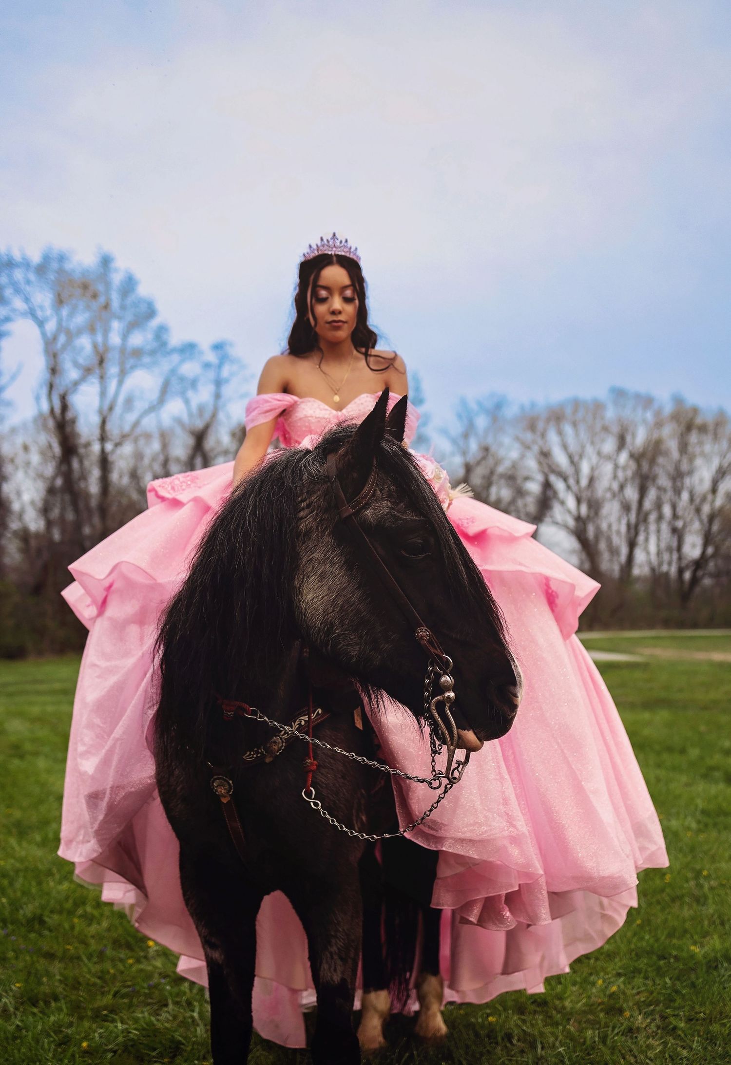 A black horse wearing a pink tulle dress stands in a grassy field on a sunny day.