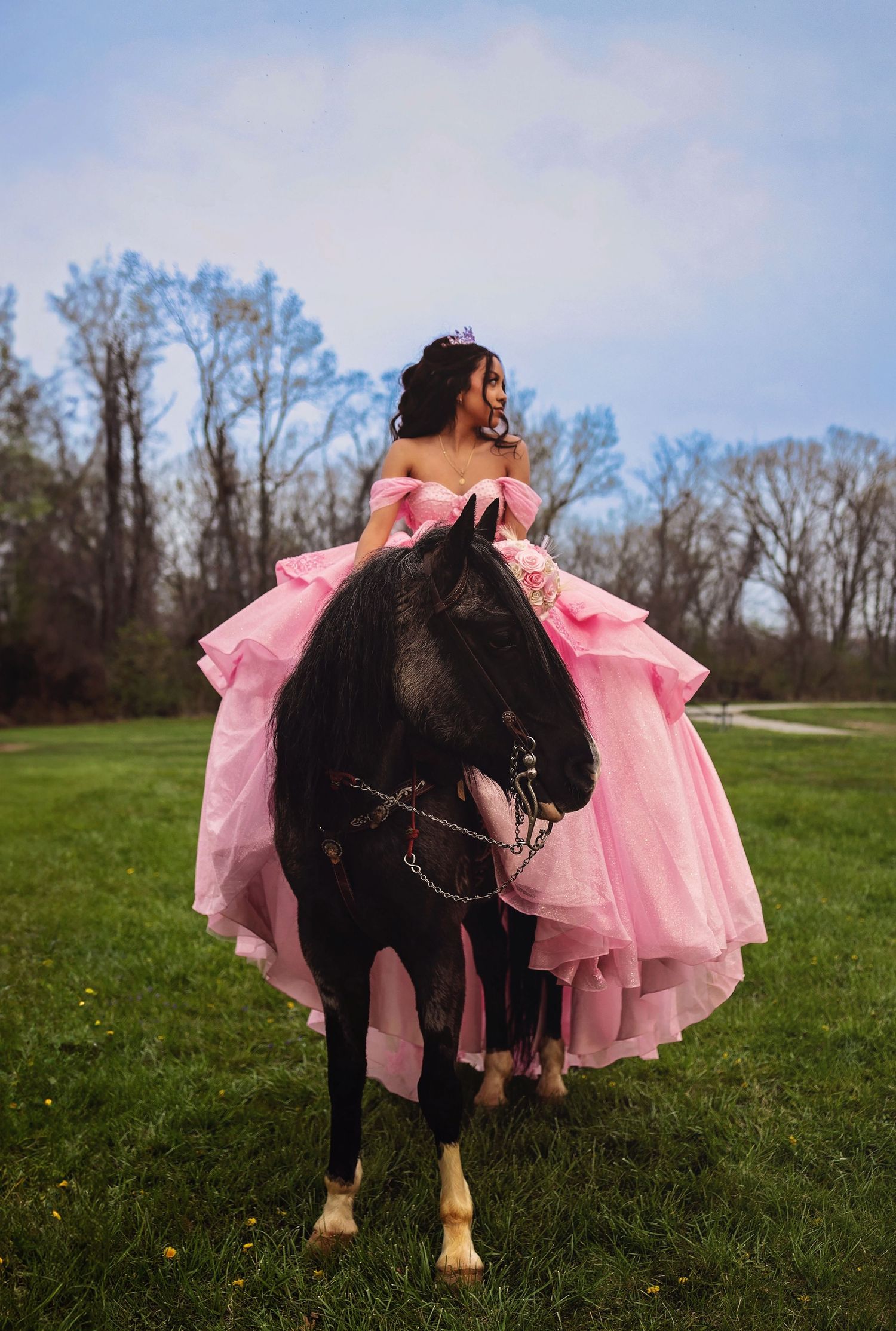 A majestic black horse adorned with a flowing pink dress poses in a spring meadow.
