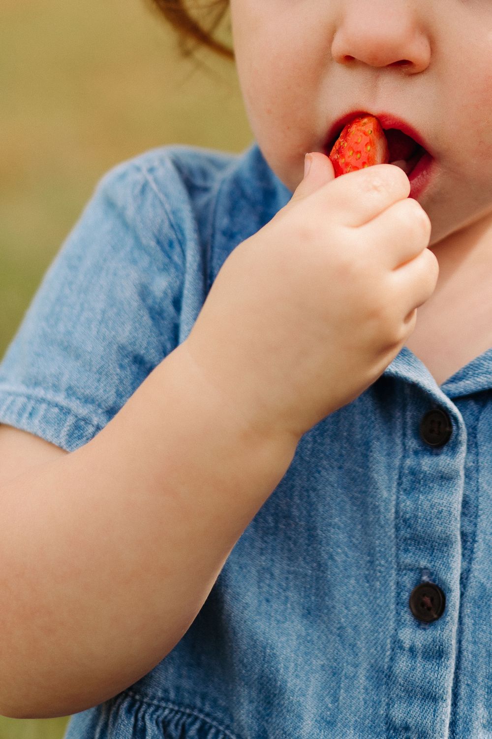 Small child in denim shirt eating a fresh red strawberry.