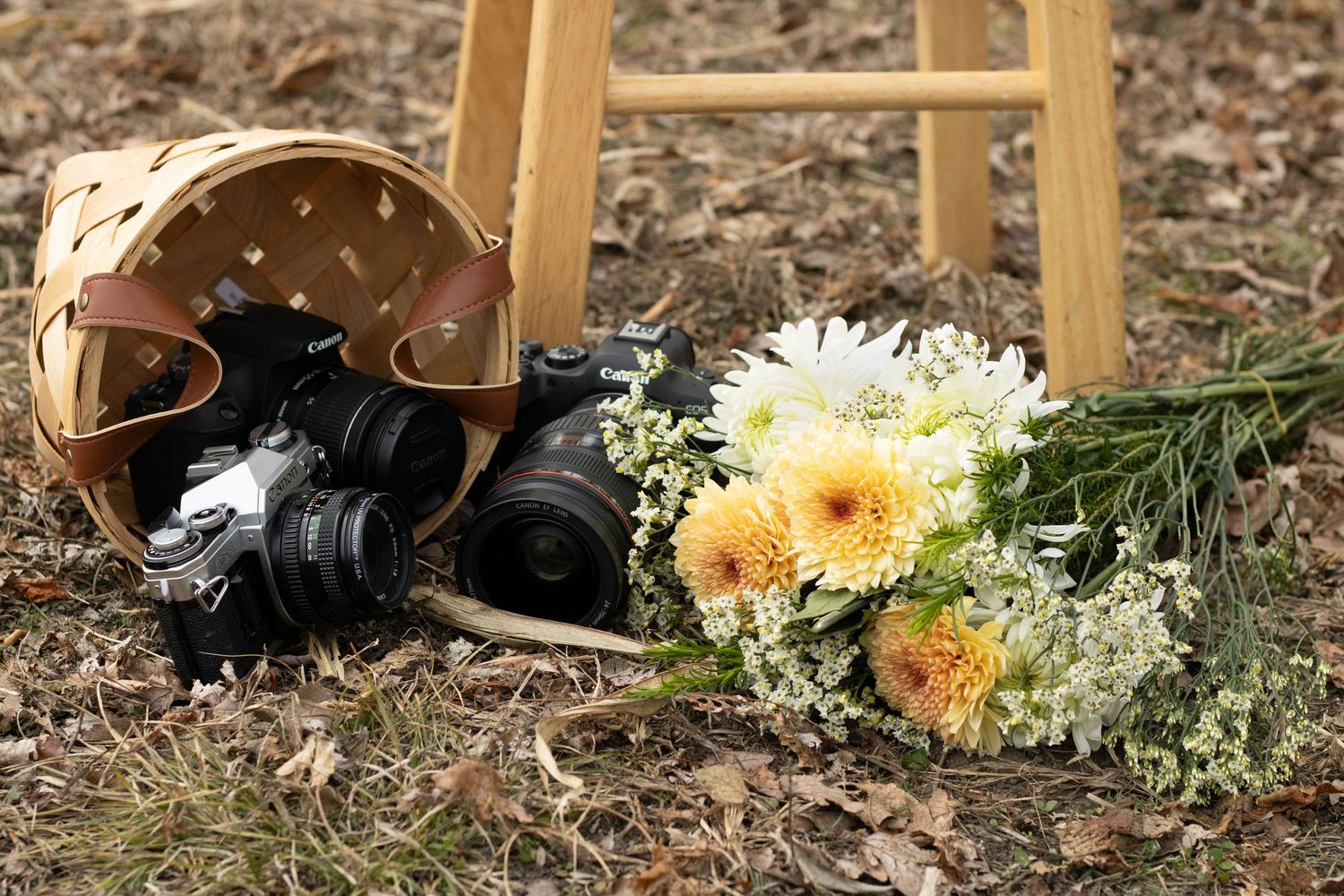 Camera equipment and dried flowers arranged on fallen leaves.