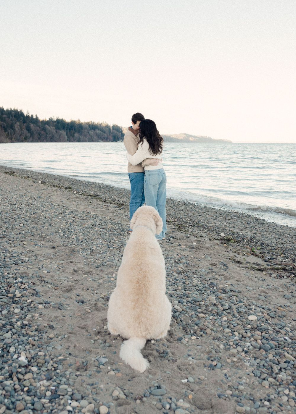 A couple and their white fluffy dog walk along a rocky beach shoreline at sunset.