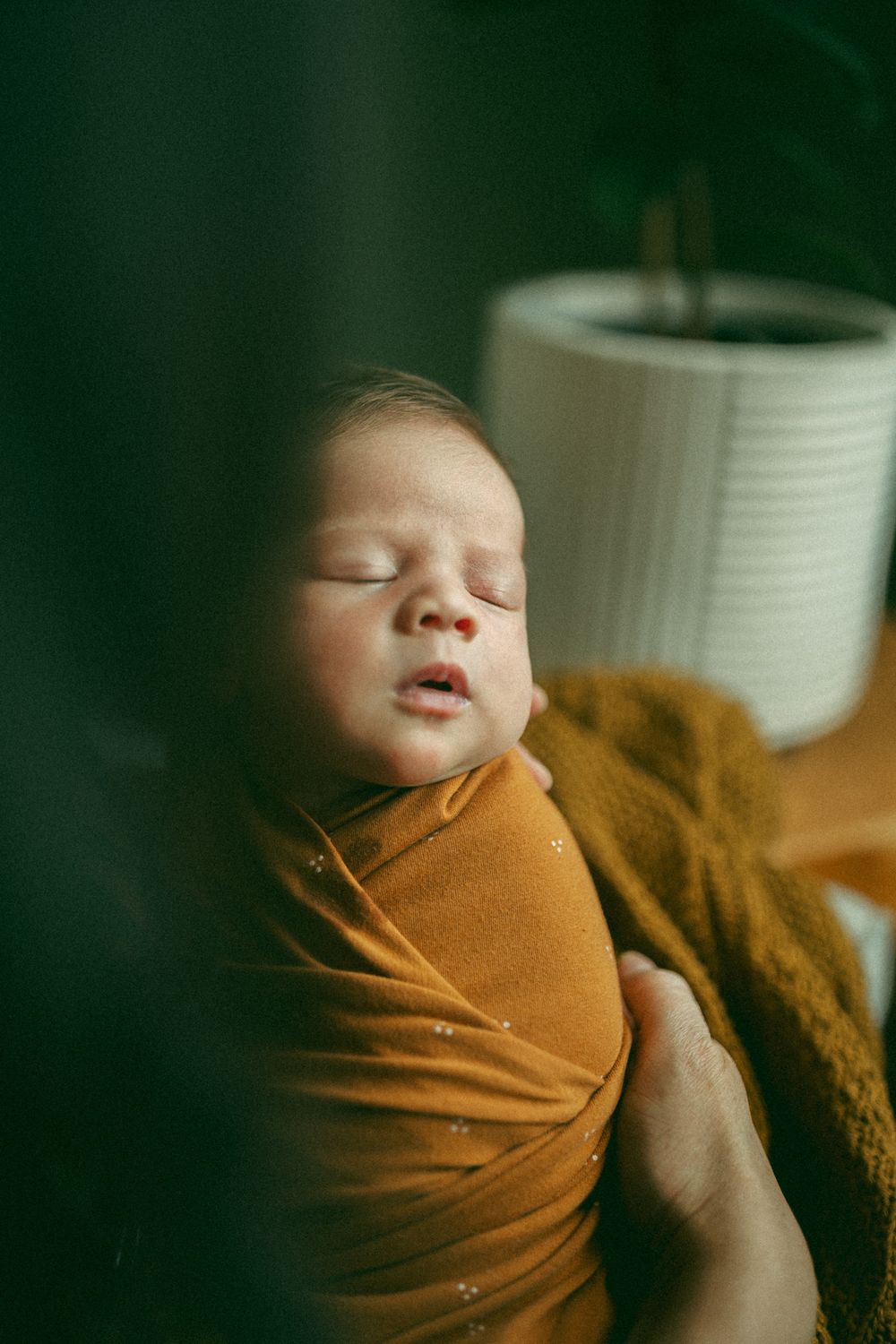 A sleeping newborn baby swaddled in brown fabric against a dark green background.