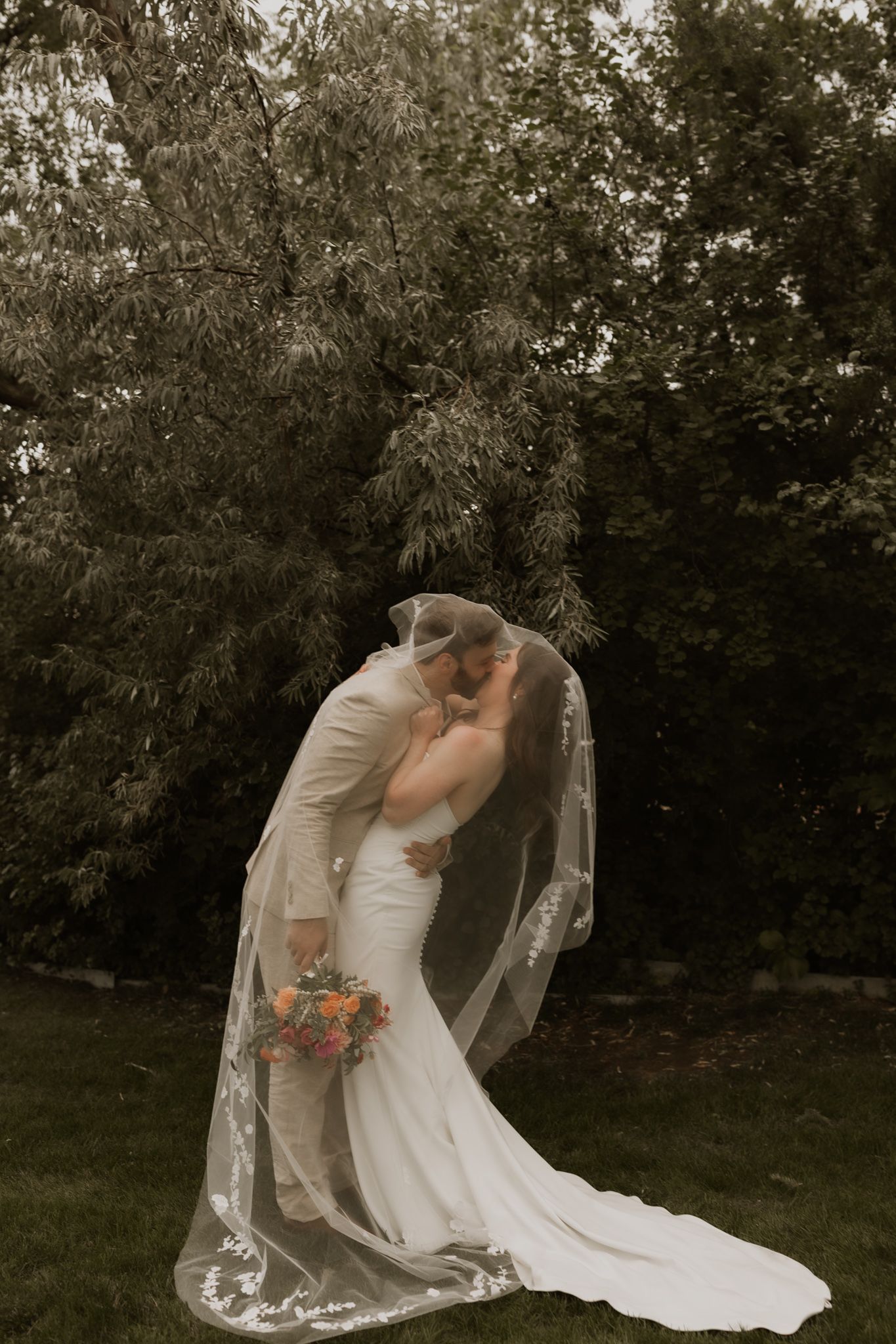 A romantic outdoor wedding scene with a long flowing veil and white gown against a backdrop of lush trees.