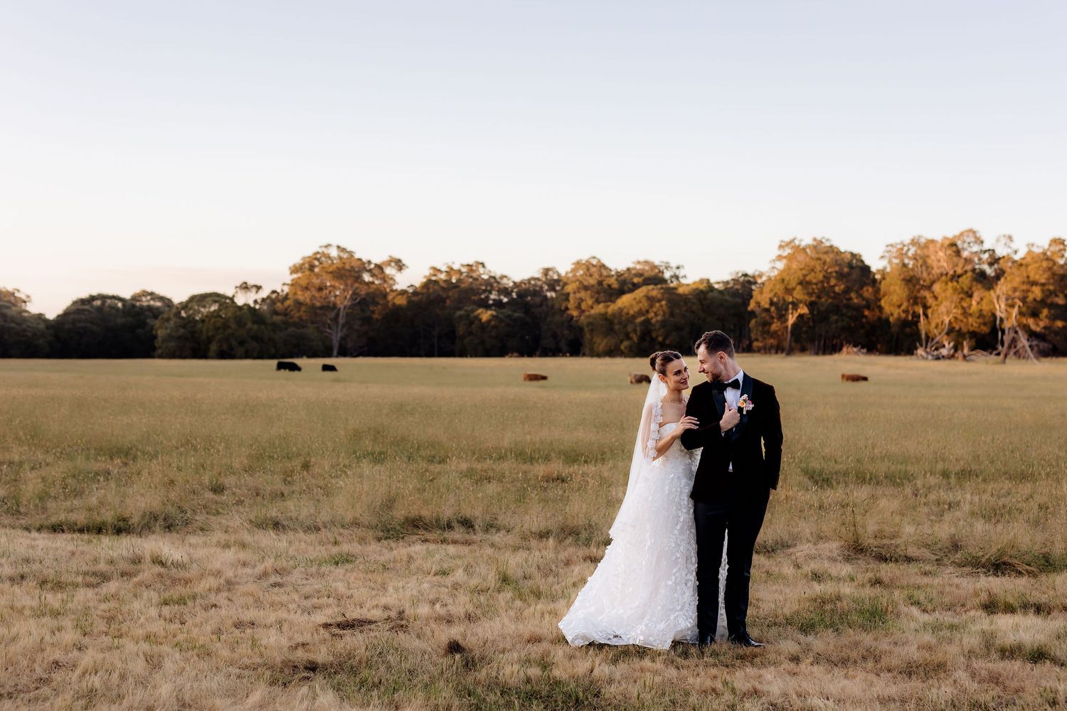 A couple in wedding attire embraces in a golden field at sunset with trees in the background.