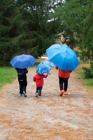 Three people walking on a forest path carrying blue umbrellas on a rainy day.