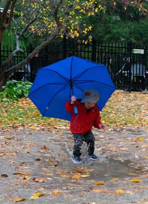 A figure in a red coat holds a bright blue umbrella while walking through scattered autumn leaves on a rainy day.