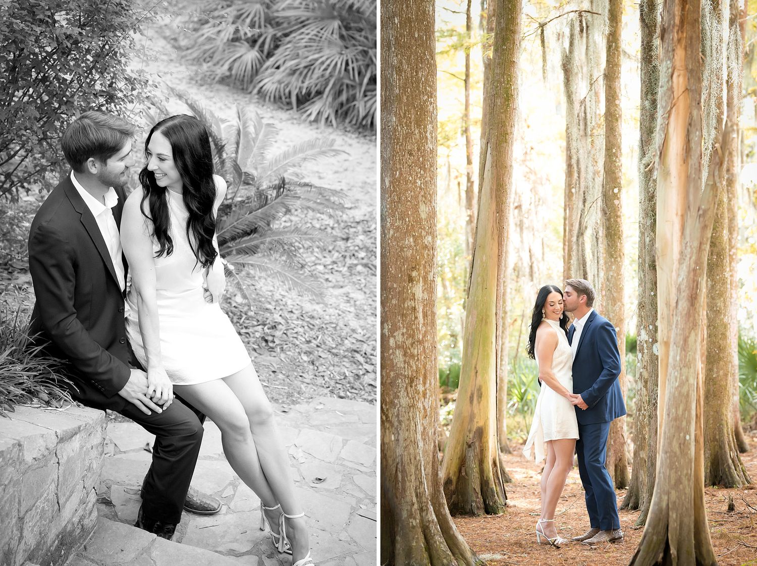 A series of black and white and color photos showing a couple posing among tall tree trunks in a forest setting.