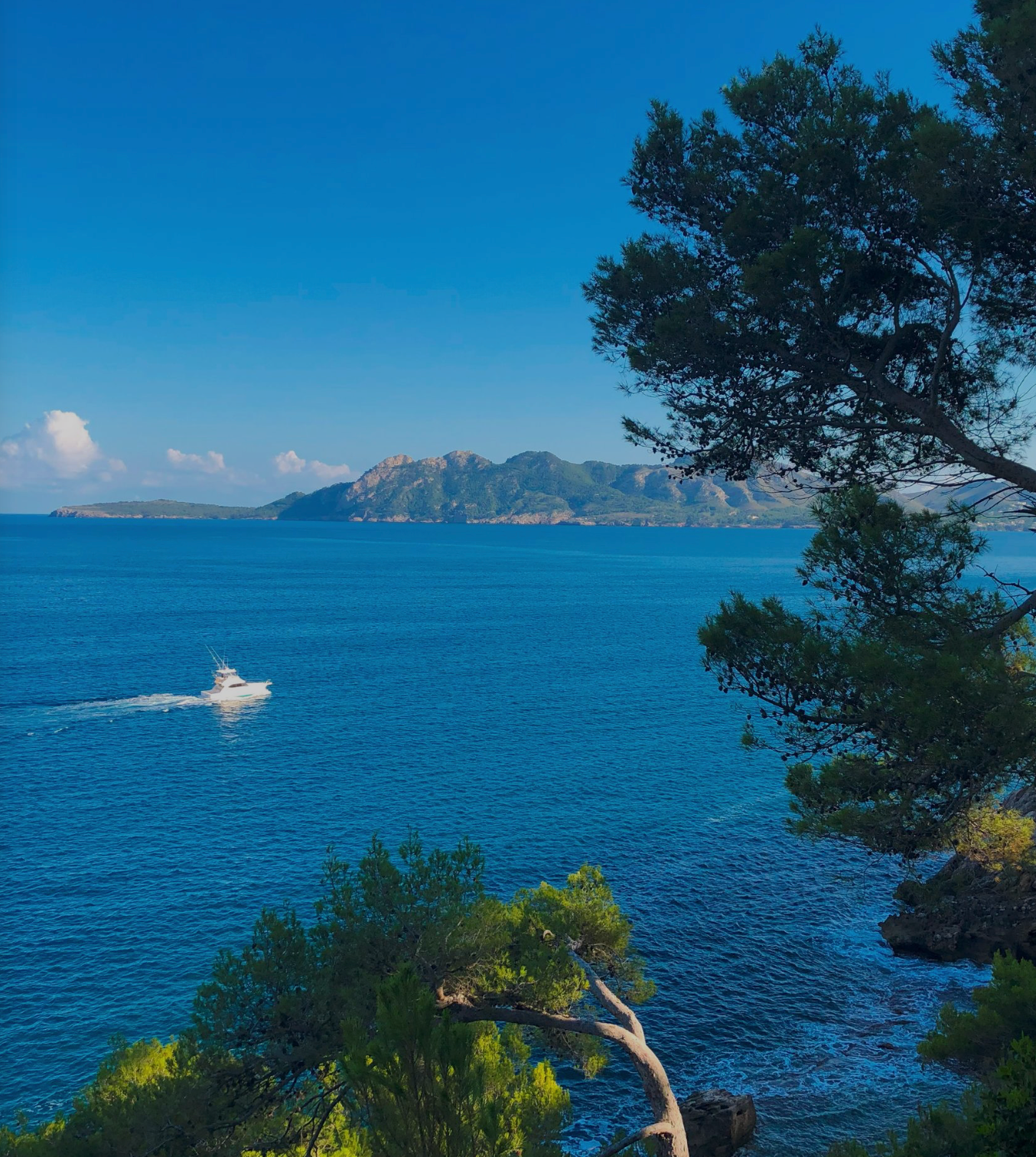 Panoramic view of Mediterranean coastline with deep blue waters, rocky cliffs, and pine trees framing the seascape.