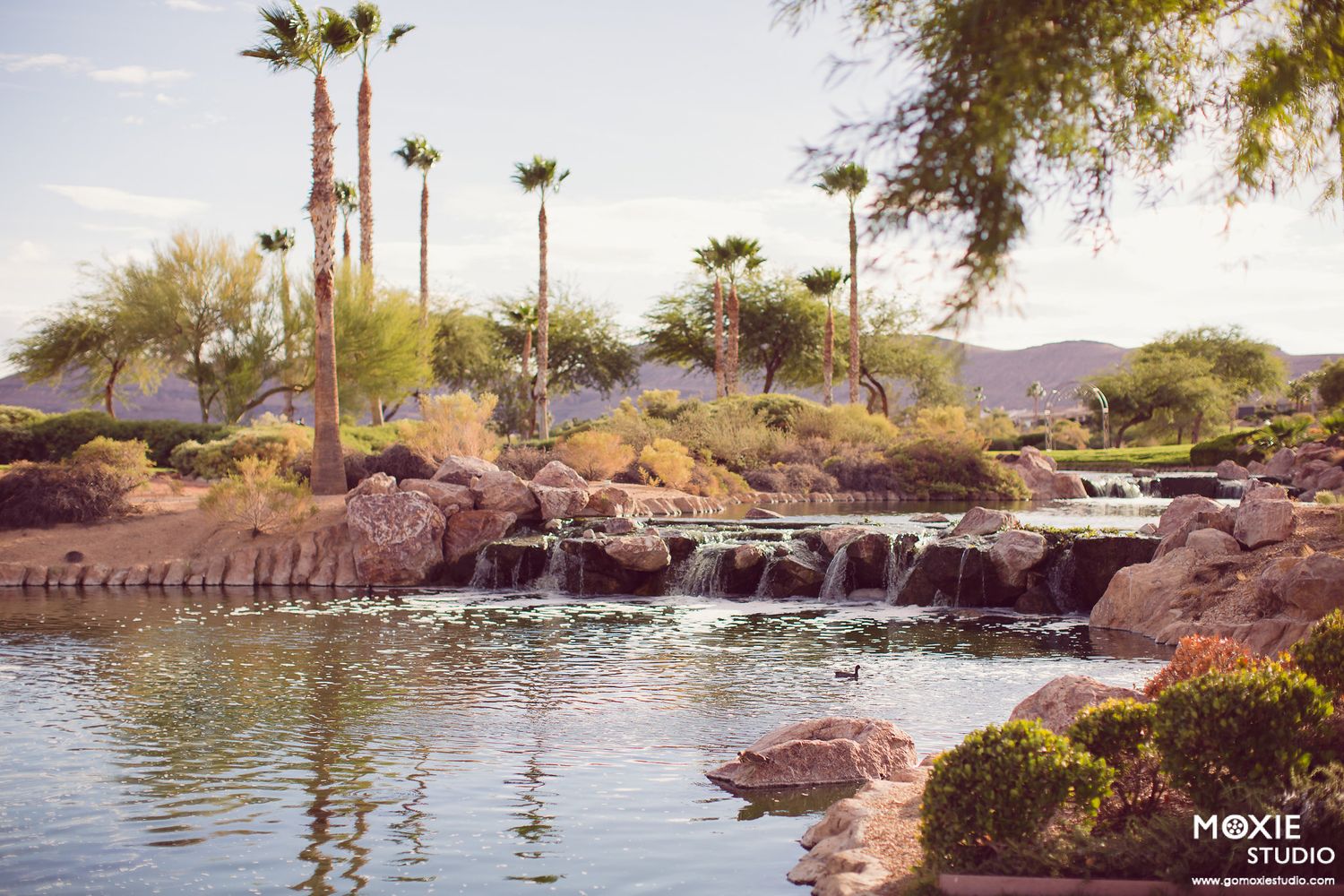 DragonRidge Country Club wedding reception photography