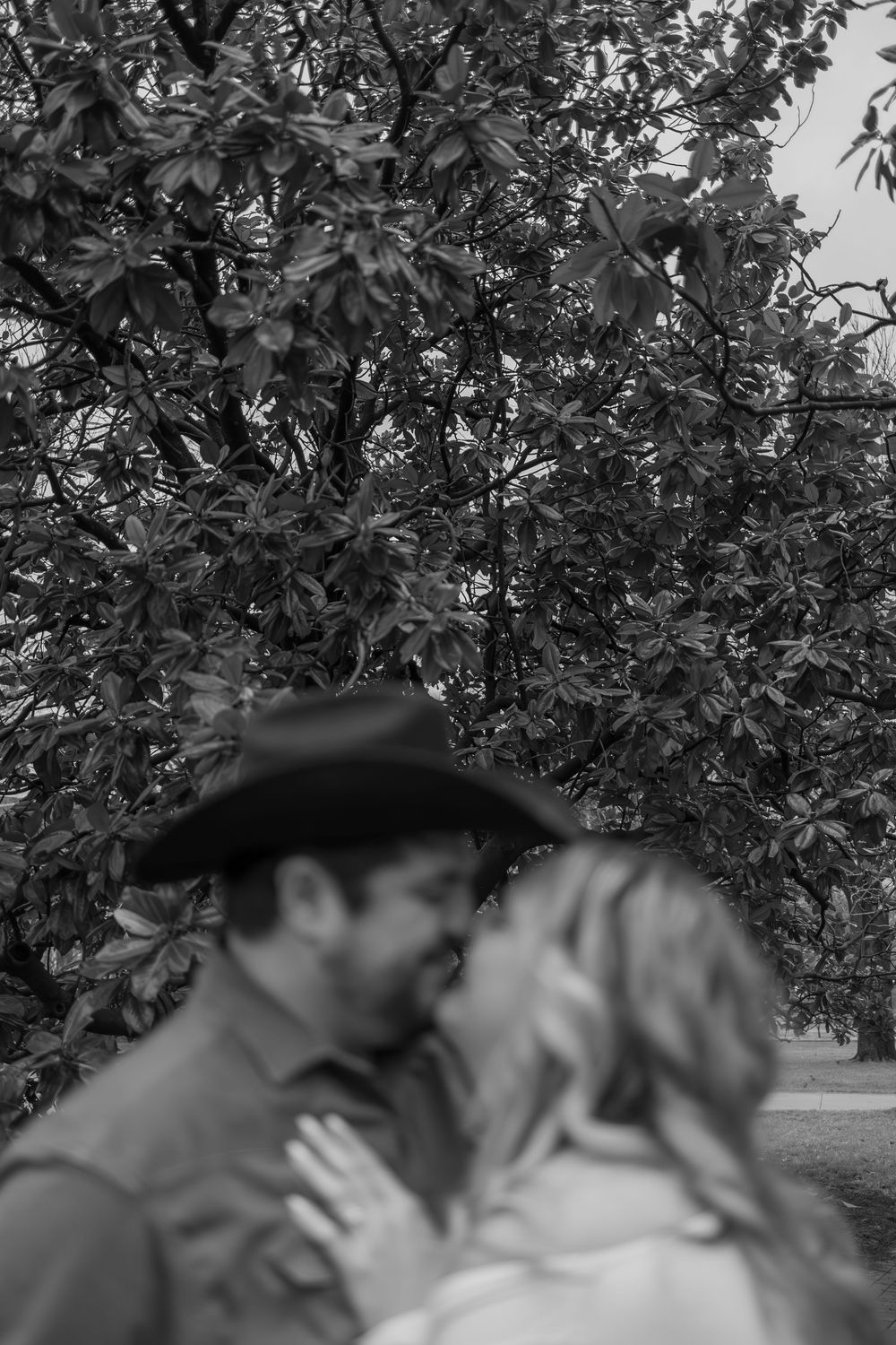 A romantic black and white photo of a couple embracing under tree branches.