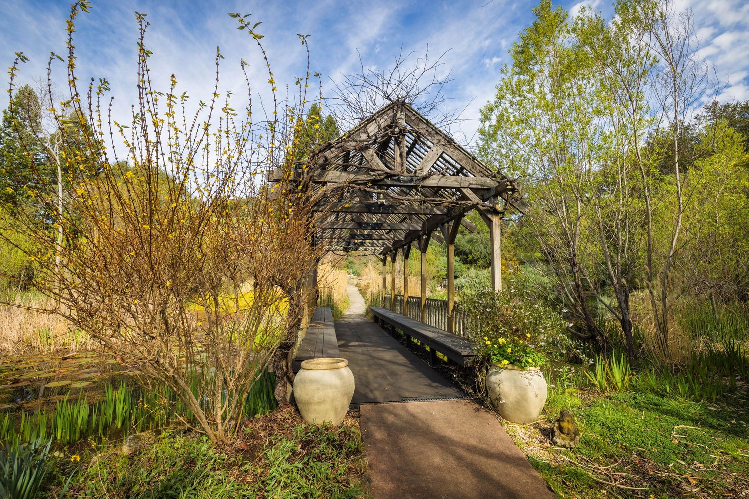 Panoramic springtime view of a winding garden path with ornamental urns and blooming trees in natural light.