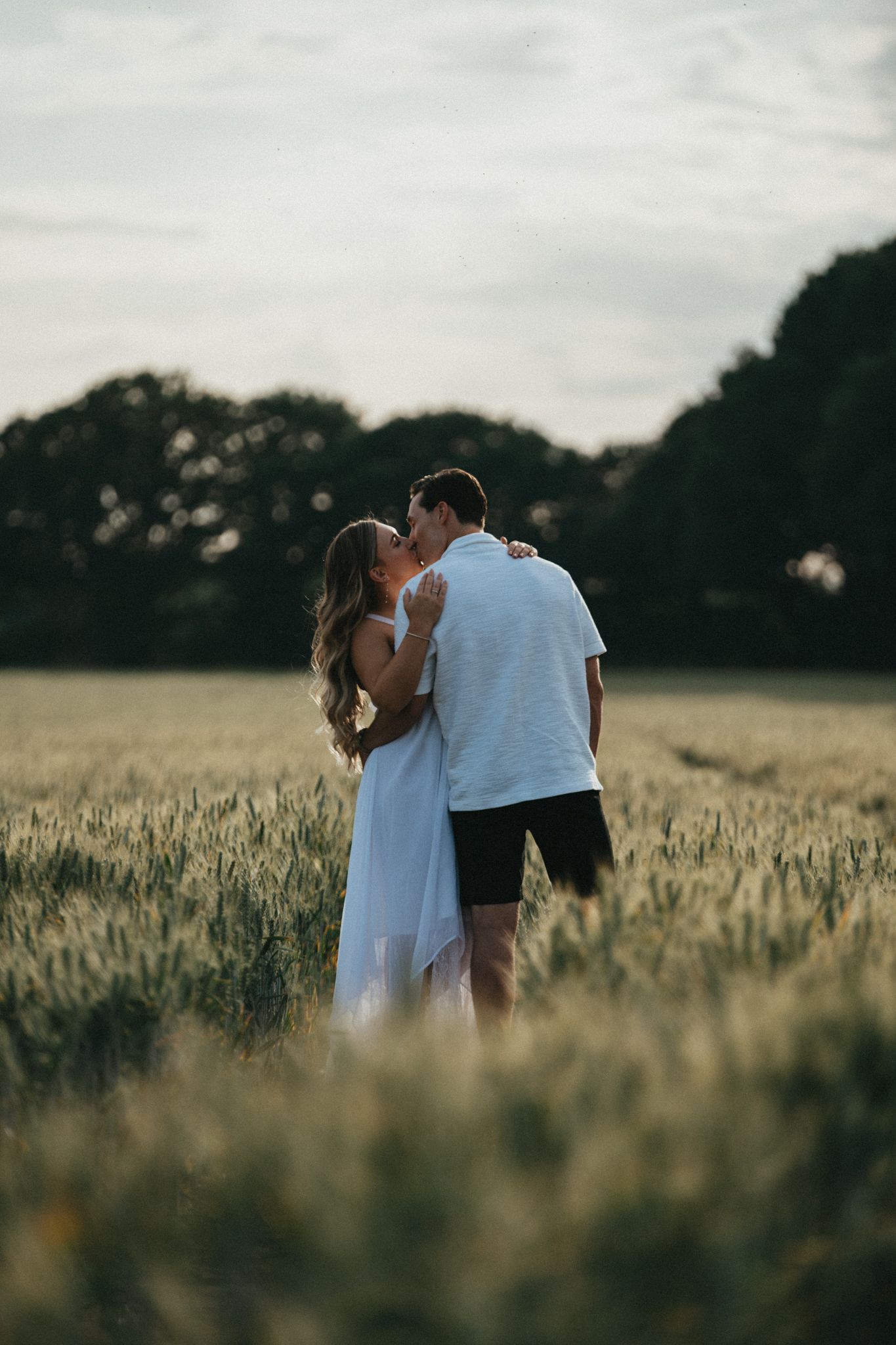 A romantic couple embraces in a golden wheat field at sunset with trees silhouetted in the background.