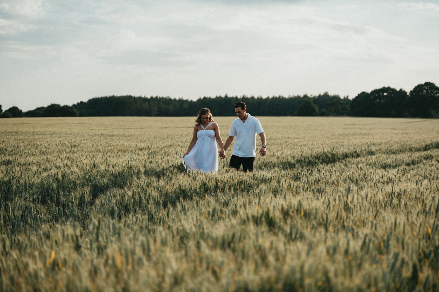 A couple walks hand in hand through a golden wheat field at sunset creating a romantic silhouette against the horizon.