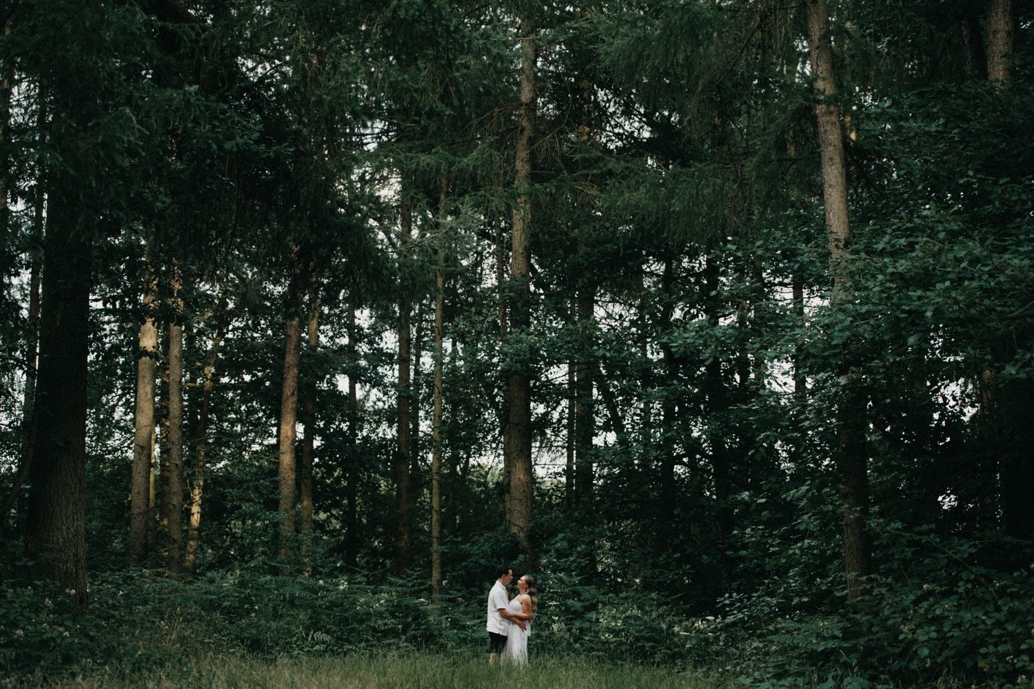 A couple embraces in a moody forest setting with tall trees and natural light filtering through the canopy.