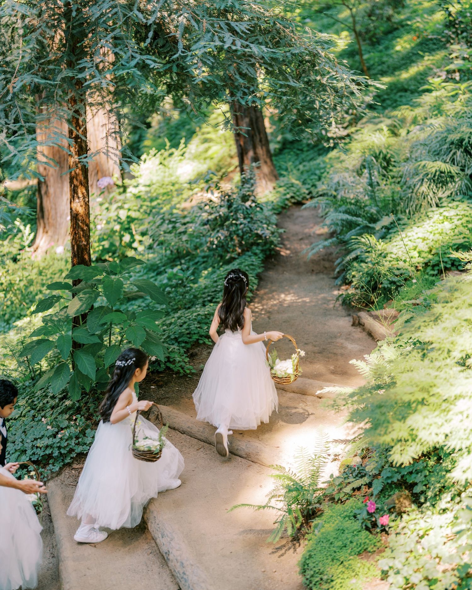Garden pathway through lush greenery with ethereal light filtering through trees.