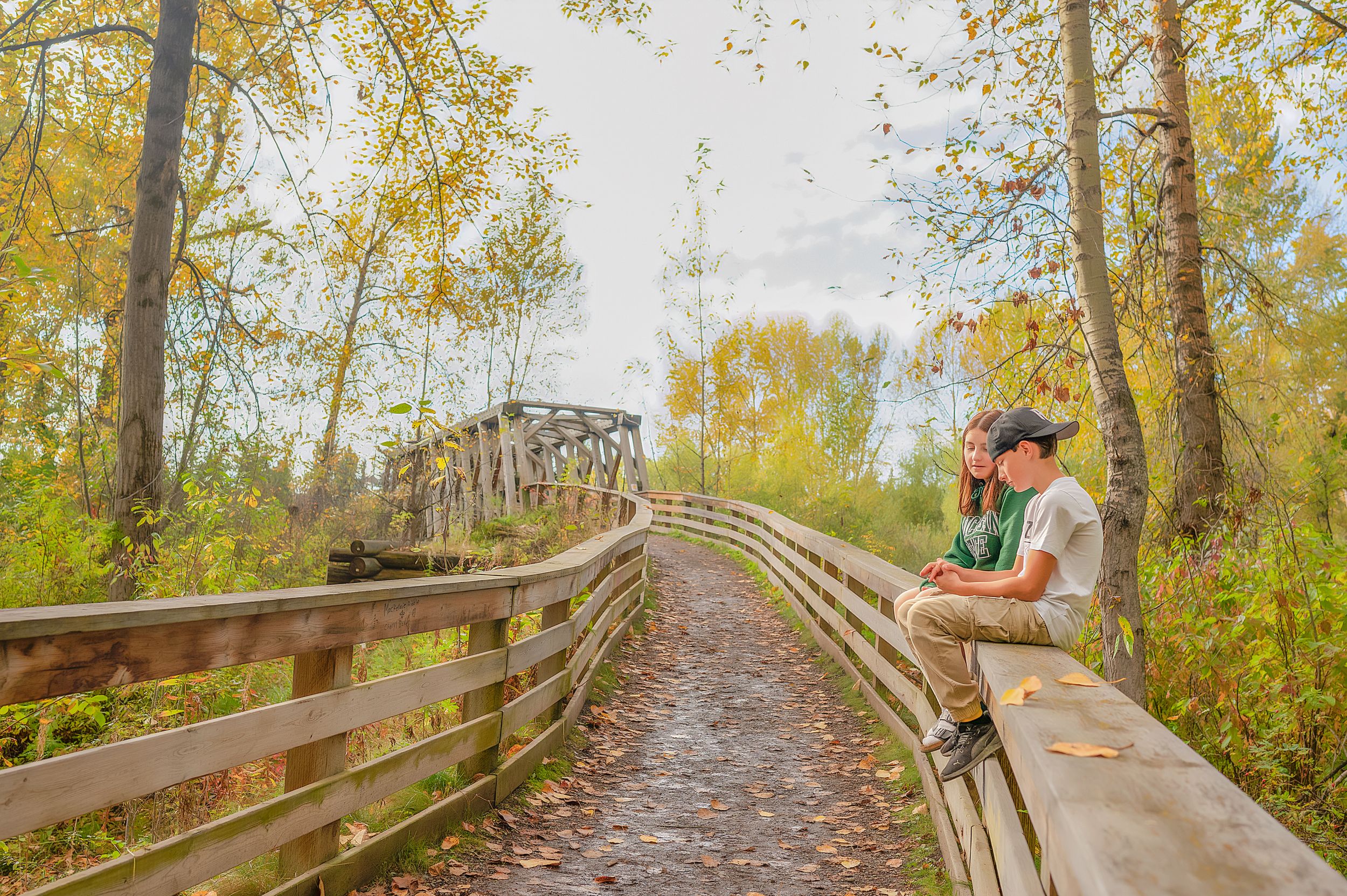 Wooden boardwalk trail curves through autumn forest with golden yellow leaves on trees and ground.