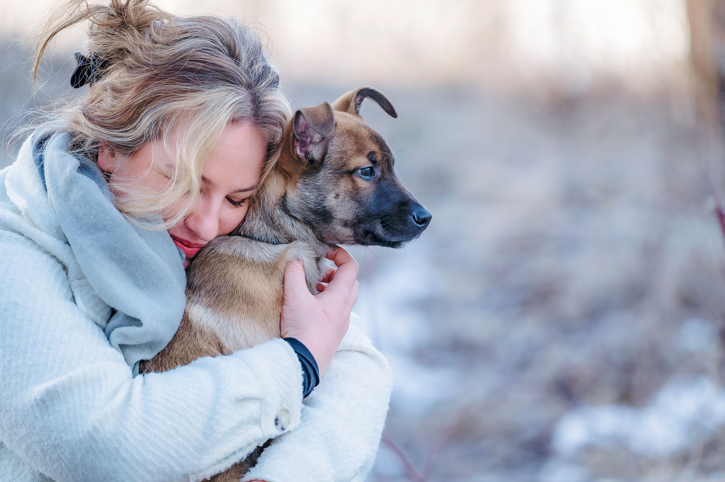 A person and a German Shepherd dog share an affectionate moment outdoors in winter.